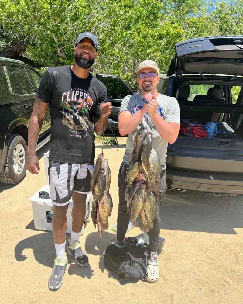 了一个充满 了一个充满