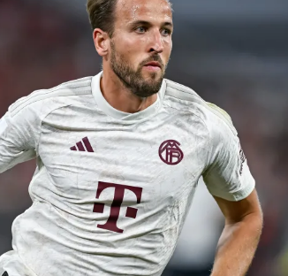 这表明他们 这表明他们